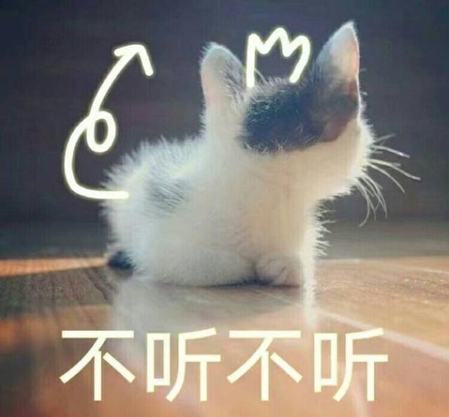 惹男朋友谅解后,用这组卖萌的表情求生气吧添加qq如何文字包表情给图片
