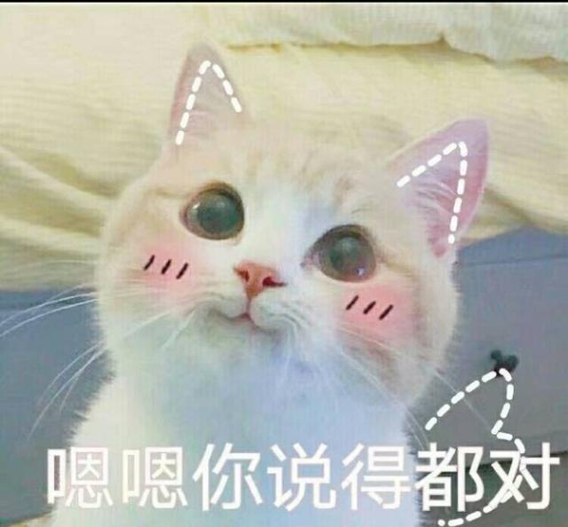 惹男朋友生气后,用这组卖萌的表情包求谅解吧