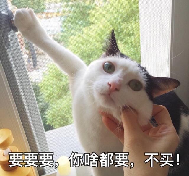 我要这个你给我买这个奢侈猫表情包的完整故事在这里