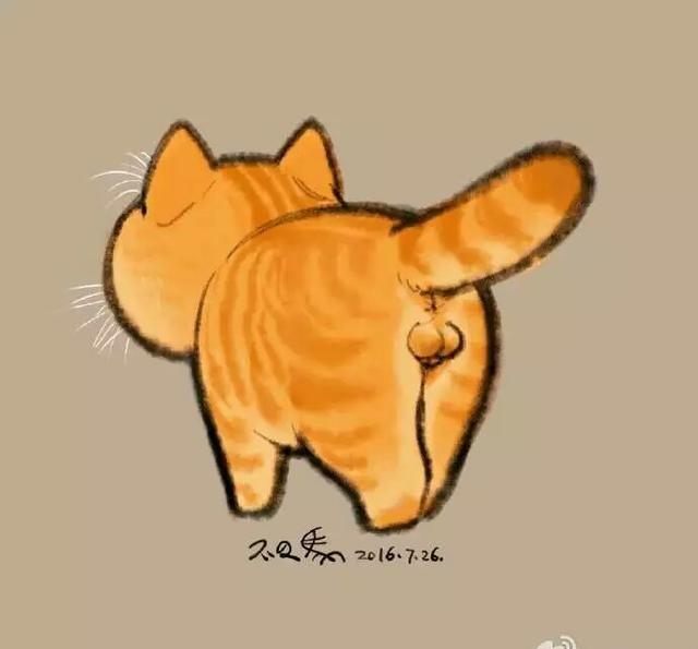 分享给你们一些猫蛋蛋,萌萌的宠物,你知道他们都是什么品种么?