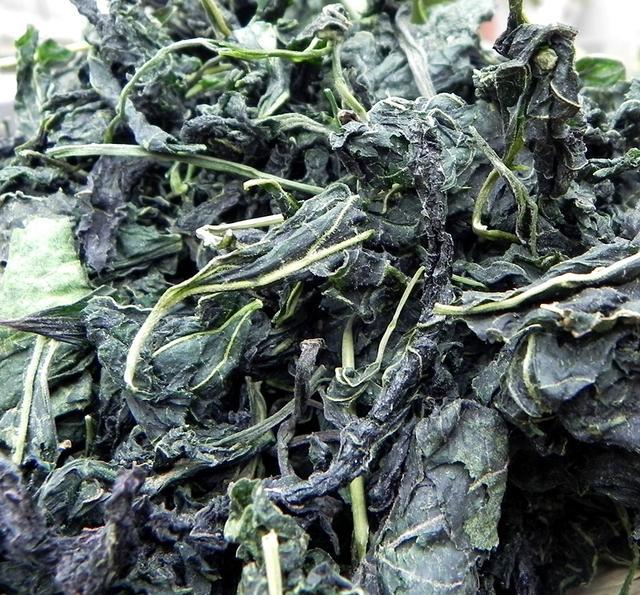 山里有一种野生植物叫山芝麻叶现在正是采摘的季节你吃过吗