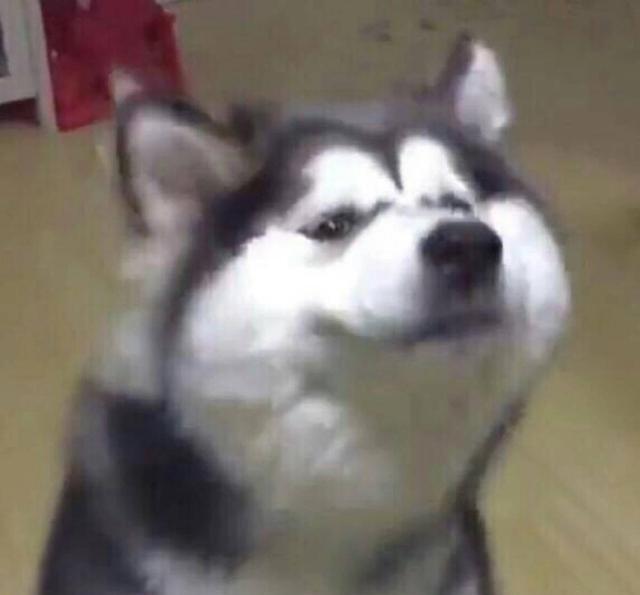 一些好玩又有趣的情侣头像