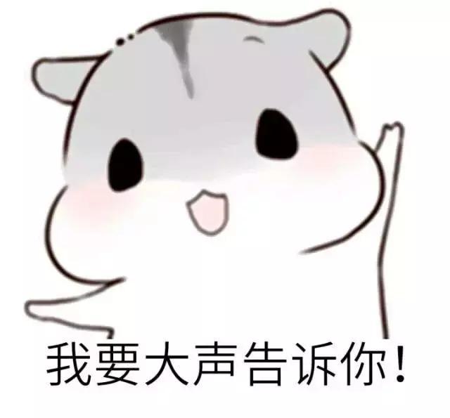 仓鼠表情包,我要大声告诉你,我最可爱!