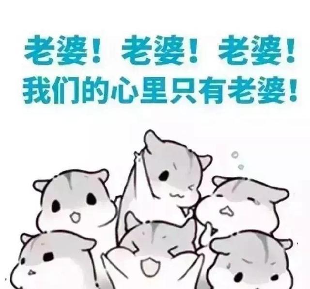 表情|情侣套路:能借我一块钱吗?我想买小布丁
