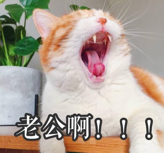 斗图嘴唇,有一种忧伤叫看着就忧伤表情包后入表情咬图片