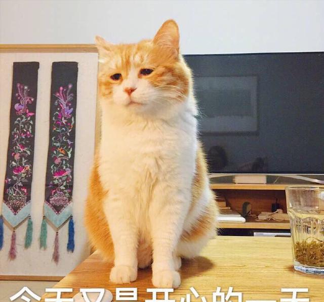 斗图表情,有一种忧伤叫看着就忧伤鼻涕包表情信大微图片