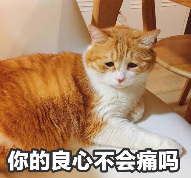 斗图表情包,有一种忧伤叫看着就忧伤