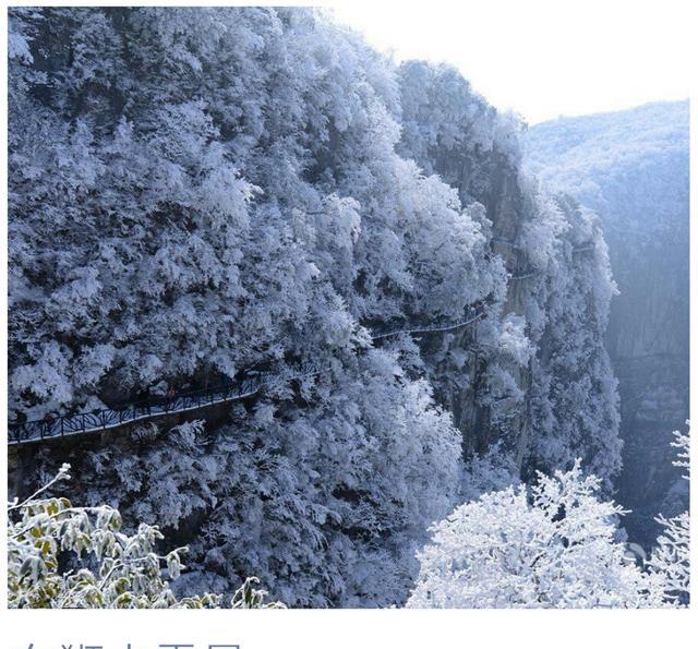 在福建冬天想看雪？来这些地方就对了！比北方雪景还美！