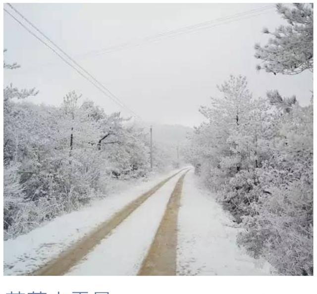 在福建冬天想看雪？来这些地方就对了！比北方雪景还美！