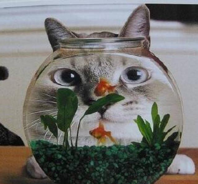 情人节换个头像低调秀恩爱吧