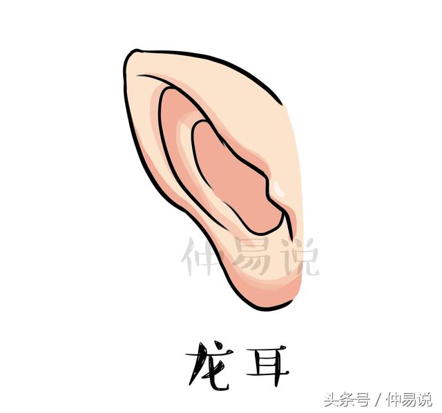 这3种耳朵的人一生最富贵积蓄满满不缺钱