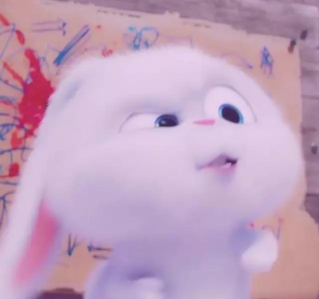 爱宠大机密 赵丽颖同款兔子表情包和高清图