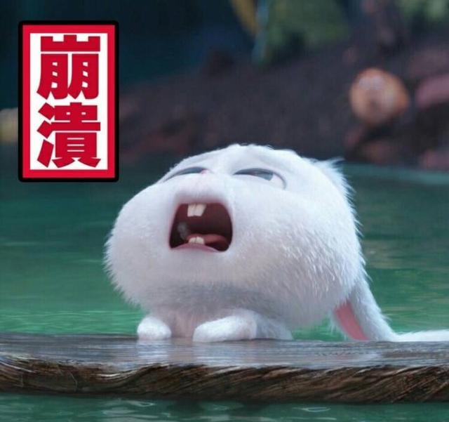 爱宠大兔子赵丽颖同款表情故事的一连串图片搞笑高清和机密图图片