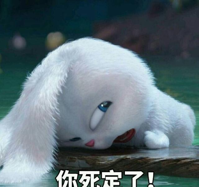 爱宠大机密 赵丽颖同款兔子表情包和高清图