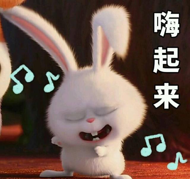 爱宠大机密 赵丽颖同款兔子表情包和高清图