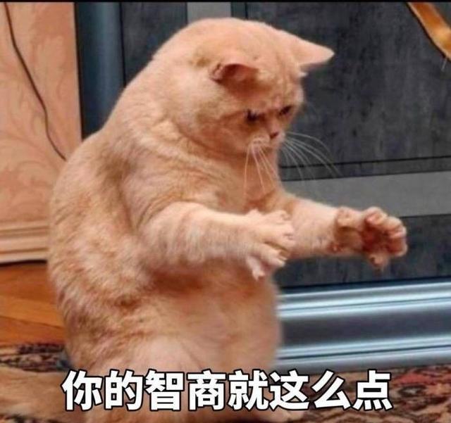 人类语言太无力,我就喜欢用猫咪表情包diss世界!