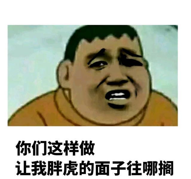 你的意思就是说要和我胖虎对着干咯胖虎表情包分享