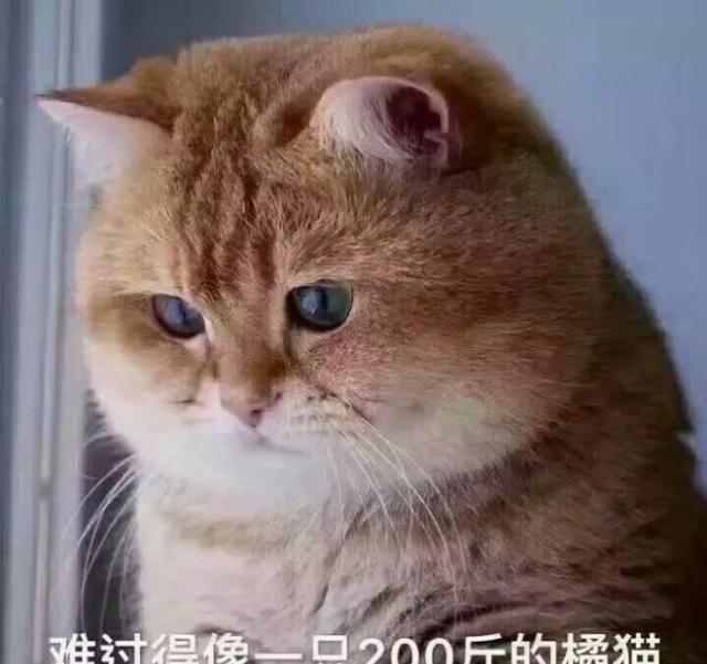 平平淡淡是真斗图搞笑手指表情比心表情包图片