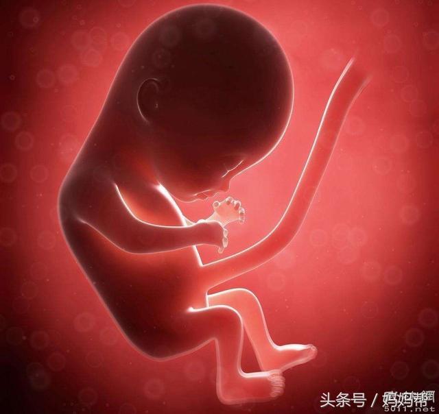 第二次移植，成功好孕！分享经验，希望帮到更多试管的姐妹们