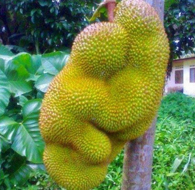 老司机表示不好意思,有点污!