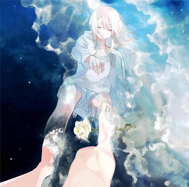 凤阁论坛：小众文化社区如何突破圈层壁垒实现价值跃迁