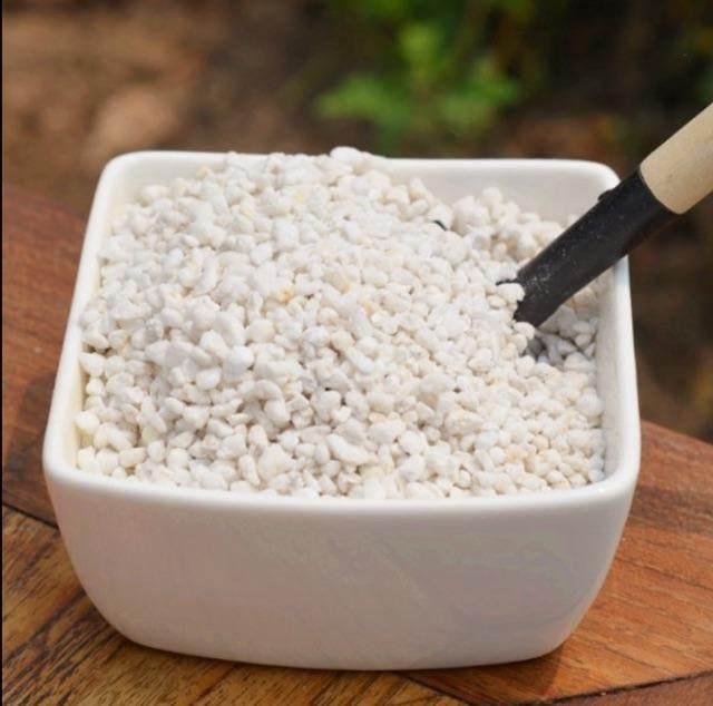 不用花钱买营养土,这些东西扔花盆里,花多根壮