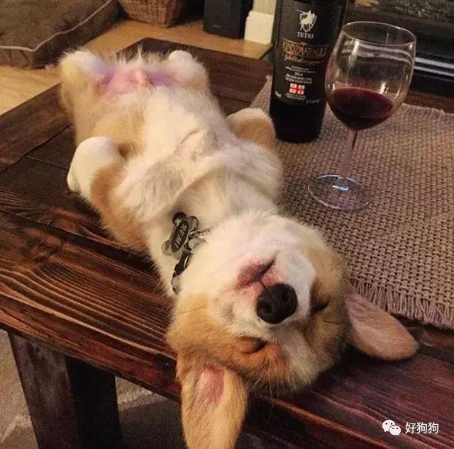正文                                           迷迷糊糊睡倒的小
