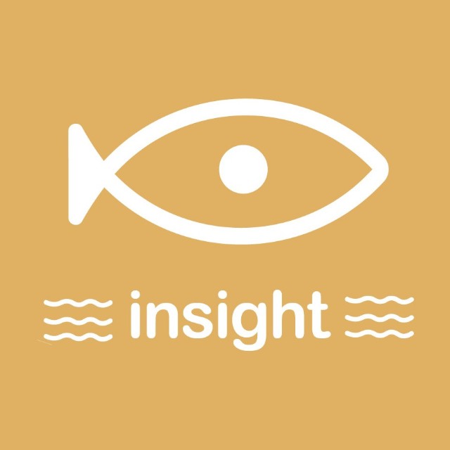 鲤智Insight