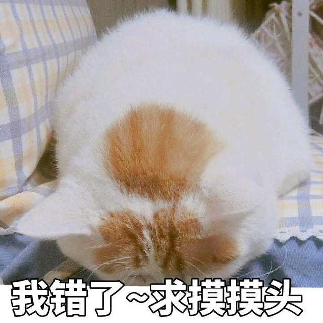 各种生病表情,认错不谢拿走表情动态包的图片
