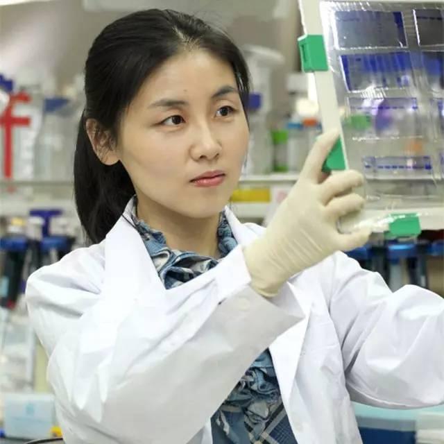 学士、硕士、博士和博士后到底有啥区别?看了