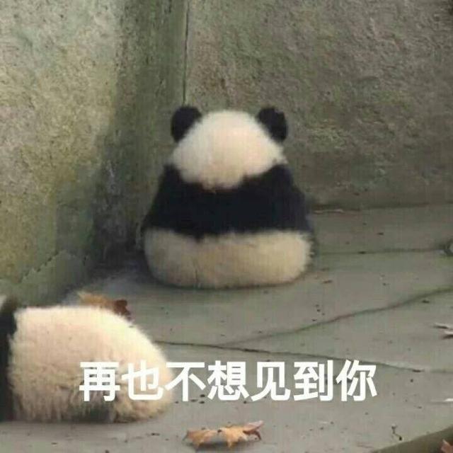 简单粗暴的熊猫表情包合集