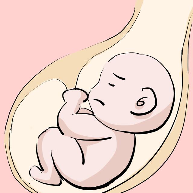孕妇发脾气时,肚子里的宝宝在干嘛呢?原来胎儿也是有情绪的!