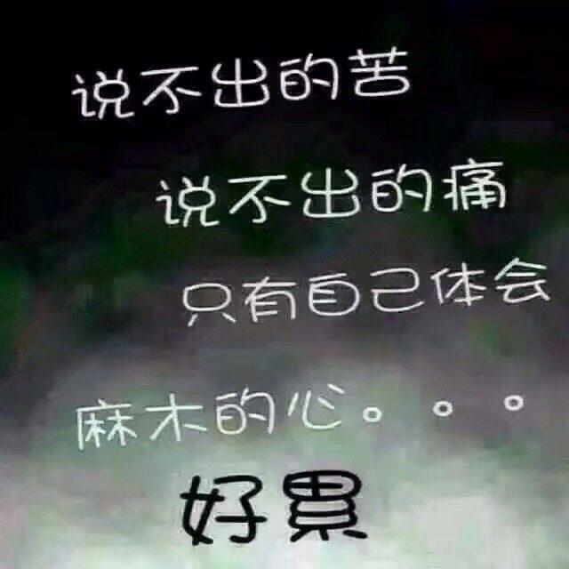 我累了,也懂了