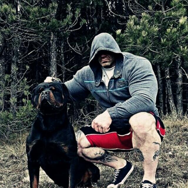 猛犬中的坦克霸王--罗威纳犬