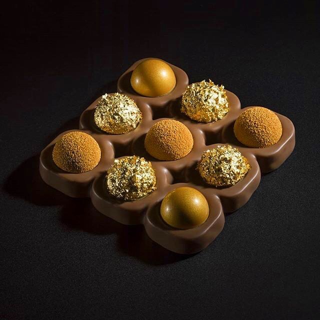 巧克力含有可可碱,对多种动物有毒,但对人类来