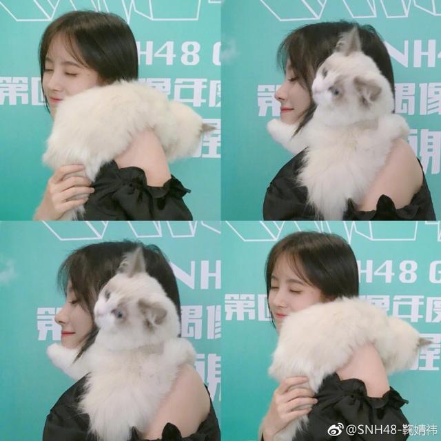恐怕只有snh48鞠婧祎了,撞脸郑爽元气