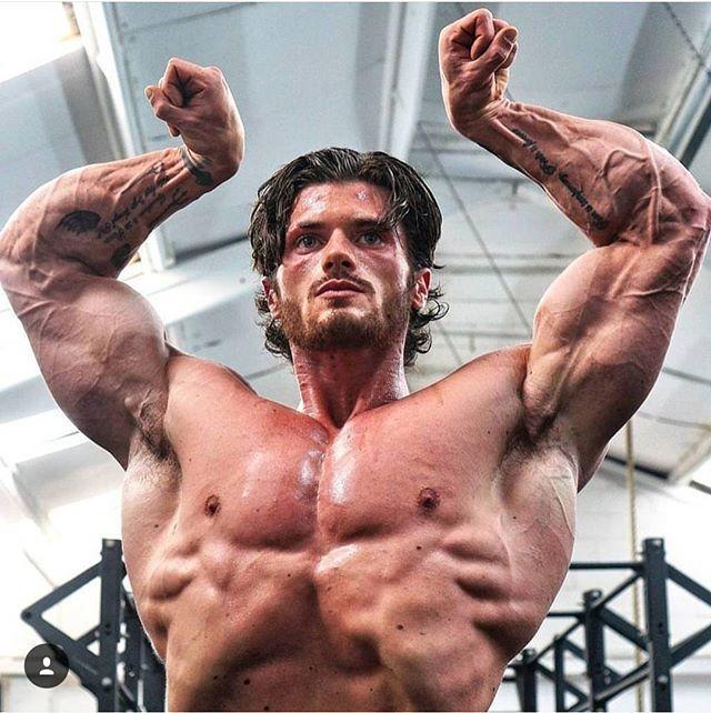 少有的真空腹 堪称现代版弗兰克·赞恩!_健美_新浪竞技风暴_新浪网