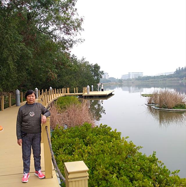 深圳华侨城湿地公园观鸟