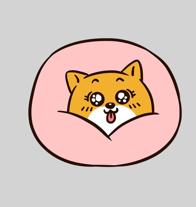 特岗教师薪资待遇提高,不比公务员差!