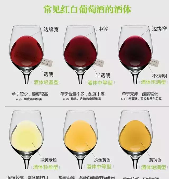 史上最详细的葡萄酒分类大全