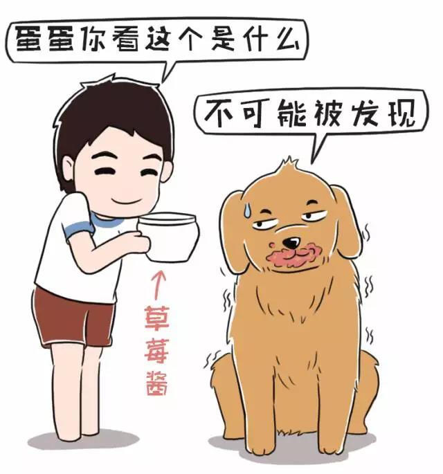 狗狗呕吐勿惊慌，病因颜色藏！教一教大家如何判断