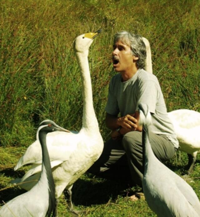 鸟的守护神:他飞行万里帮助鸟群迁徙,二十二年