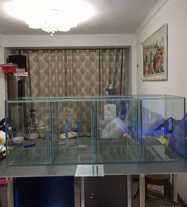历时4个月亲手做的缸终于运行