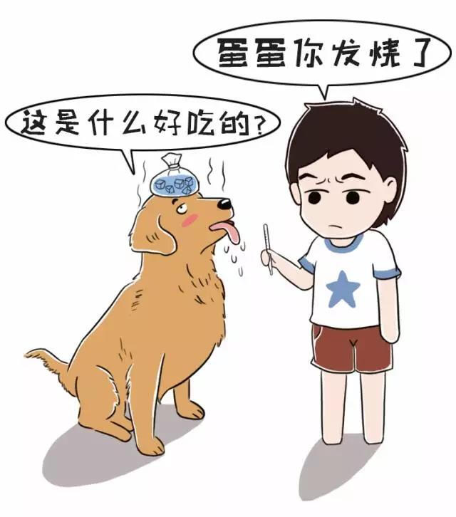 狗狗呕吐勿惊慌，病因颜色藏！教一教大家如何判断
