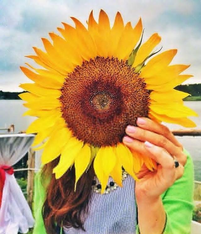 失信被执行人,最多可拘留27次(老赖全疯了)