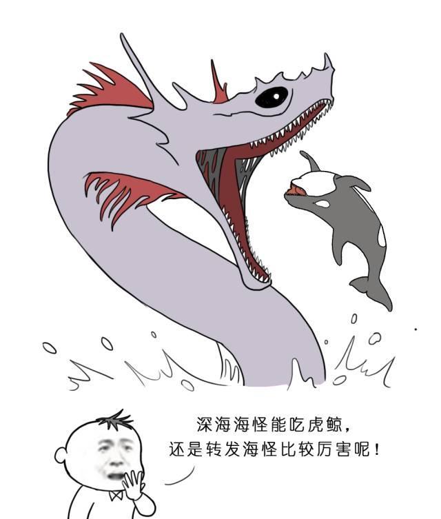 『转发了这条锦鲤再说』终极版!