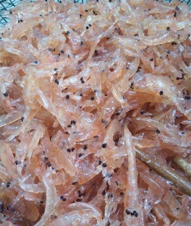 诱饵笼钓鱼, 满潮水遇见“黄鸡鱼”鱼群, 用南极虾钓获一箱的大鱼