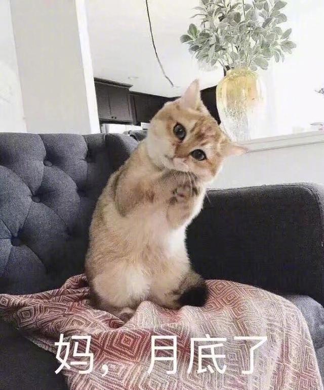 离不开我妈,每天和妈的日常萌萌表情包,你妈喊你回家吃饭!