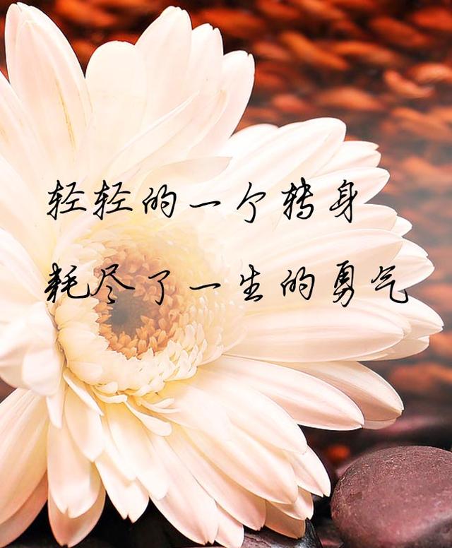 日子寒凉,就守心自暖