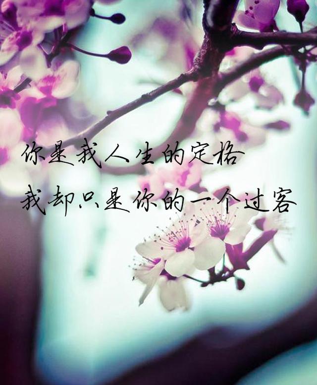 此生回忆,有你就足够